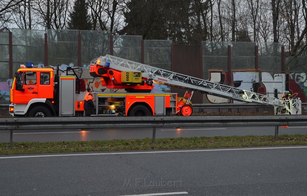 Einsatz BF Baum Koeln Vingst Vingster Ring P01.JPG - Miklos Laubert